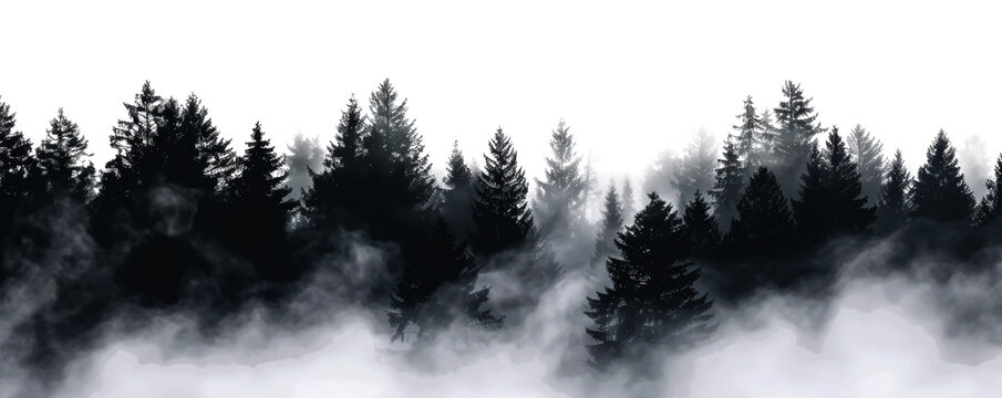 black foggy forest isolated on white or transparent png