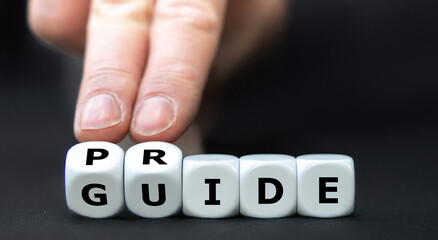 Dice form the expression 'pride guide'.