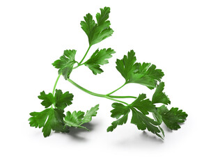 Sprig of fresh parsley isolated on white