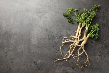 Parsley roots with leaves on black table, top view. Space for text