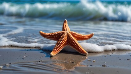 Starfish Resting on Wet Sand as Gentle Waves Break on the Shoreline in Bright Coastal Setting