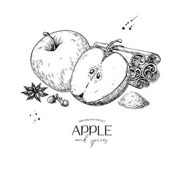 Apple and cinnamon vector drawing. Fruit and spices sketch. Sliced apple, cinnamon sticks and powder, cloves, star anise
