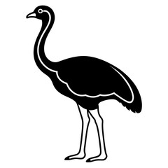 Stylized Ostrich Bird Vector Icon for Digital & Print Projects.