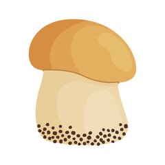 Porcini mushroom. Edible forest mushroom Hand drawn trendy flat style isolated icon. Fresh boletus. Autumn fungus. cep, penny bun, porcino. Botanical Vector illustration 