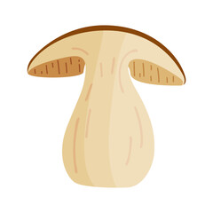 Porcini sliced mushroom. Edible forest mushroom Hand drawn trendy flat style isolated icon. Fresh boletus mushroom slice. Autumn fungus. Botanical Vector illustration 