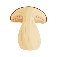 Porcini sliced mushroom. Edible forest mushroom Hand drawn trendy flat style isolated icon. Fresh boletus mushroom slice. Autumn fungus. Botanical Vector illustration 