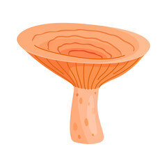 Saffron milk cap edible forest mushroom icon. Hand drawn trendy flat style delicious milk cap. Lactarius deliciosus fungus group engraved. Vector illustration Isolated