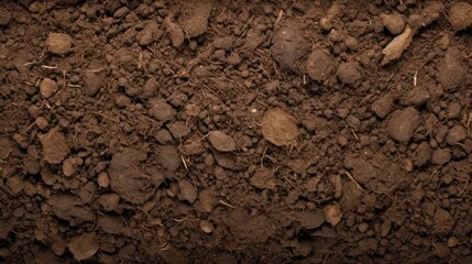 clay soil texture