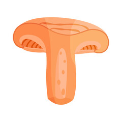 Saffron milk cap mushroom slice, edible forest mushroom icon. Hand drawn trendy flat style delicious milk cap. Lactarius deliciosus fungus group engraved. Vector illustration Isolated