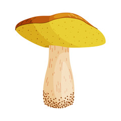 Suillus luteus, yellow mushroom. Edible forest fungus slippery jack or sticky bun. Suillus mushroom or yellow pig Hand drawn trendy flat style isolated icon. Vector illustration