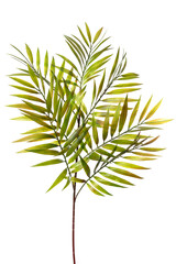 Artificial silicone and latex plant with vibrant green leaves suitable for home decor or events