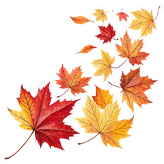 Obraz premium Beautiful orange autumn leaves illustration isolated on white background. High quality autumn leaves illustration on white