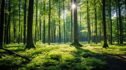 Obraz premium jack casino black