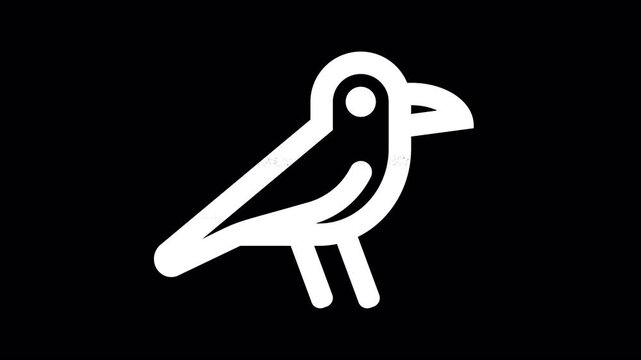 Icon crow is distorted. Glitch. Noise, chromatic aberration, geometric distortion. Transparent background, looped. In-Out looped. Alpha BW at the end