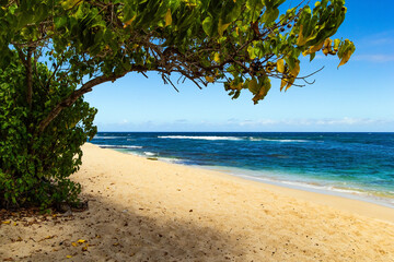 Beautiful sandy beach © Kushnirov Avraham