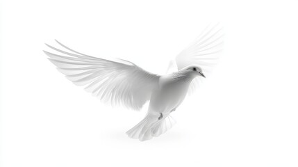 Obraz premium Elegant white dove in flight with outstretched wings on a pure white background