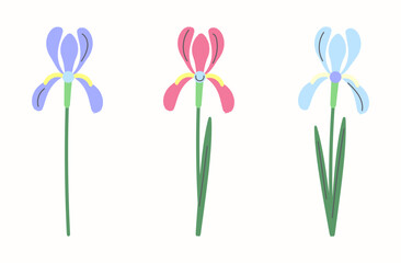 Decorative vector irises in blue, pastel purple, and pink shades isolated on a light background. Beautiful decorative flowers for and garden-themed and spring projects