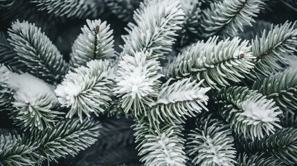 pine geometric black and white