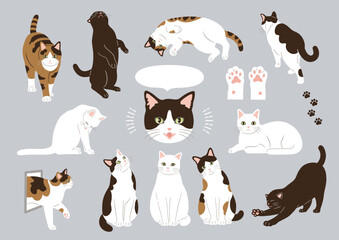 Fototapeta premium 猫のイラスト素材セット