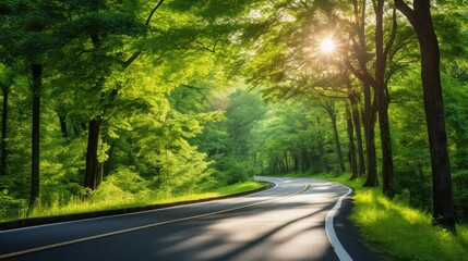 Obraz premium solitude mission road