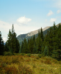 autumn in the mountains