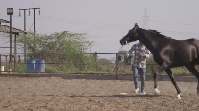 South asian man walking horse in barn field on a sunny day