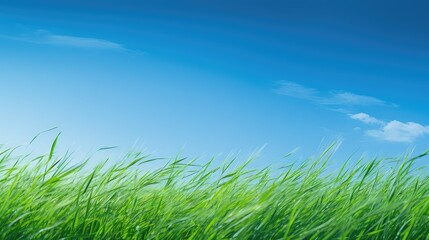 Fototapeta premium sky green blue backgrounds