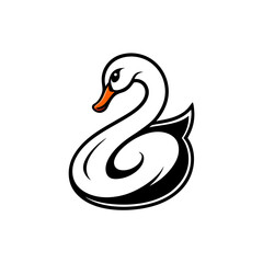 black swan vector illustration