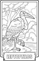 African bird leptoptilos, coloring page