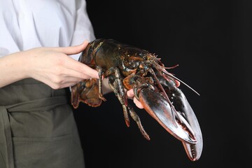 Woman with raw lobster on black background, closeup
