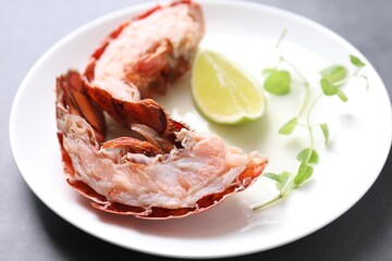 Delicious tail of boiled lobster served on grey table, closeup