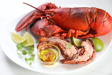 Delicious boiled lobster served on white table, closeup
