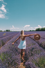 Blonde woman in a field of levender in Southern France