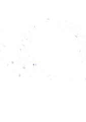 Abstract image of white dust particles floating on a white background.