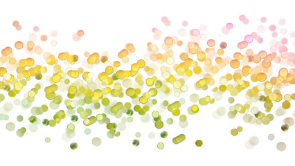 Blurred bokeh colors light glowing on transparent background