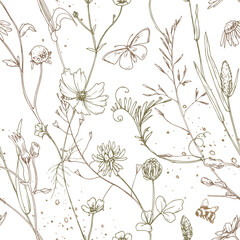 Field, meadow, wild flowers and herbs cosmos, chamomile, clover and insects. Line art is a simple hand-drawn illustration in beige, ochre, brown ink. Seamless pattern vector EPS © NATASHA-CHU