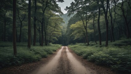 Fototapeta premium Forest pathway with lush greenery and trees along the sides during cloudy weather in a serene natural setting.