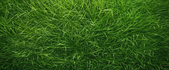 Lush green grass surface texture with varying heights and shades illuminated by natural light
