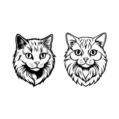 Detailed black and white vector illustration of two long-haired cats with intricate fur patterns. Ideal for pet logos, tattoos, design projects, and feline-themed artwork