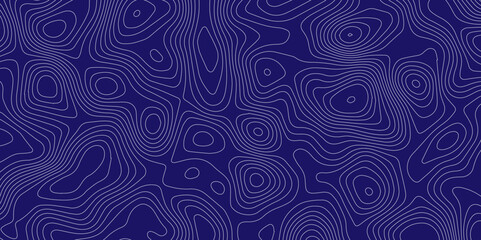 Abstract pattern with lines topographic map background. The black on white contours vector topography stylized height of the