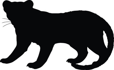 Obraz premium Black silhouette illustration of Fossa hand drawn