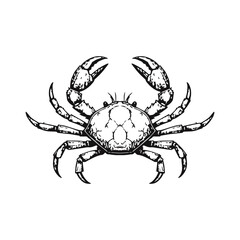 Black and White Crab Vector Illustration. isolated on white background