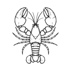 Black and White Lobster Line Art Vector Illustration