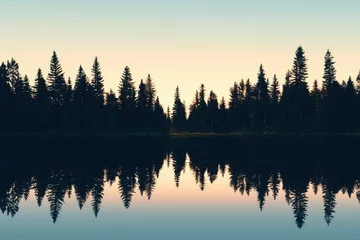 Poster Serene forest reflecting in calm lake at sunset
