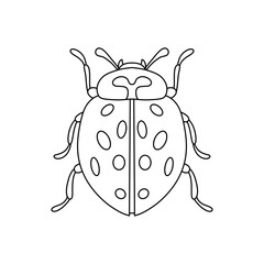 Ladybug linear icon. Thin line illustration isolated on white background