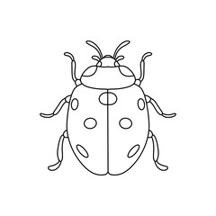 Ladybug linear icon. Thin line illustration isolated on white background