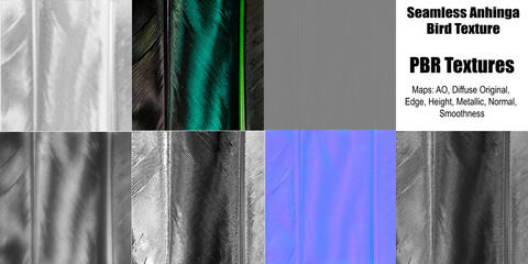 Anhinga Bird PBR Texture - All 7 Maps - Pattern - 3D Design - Shading