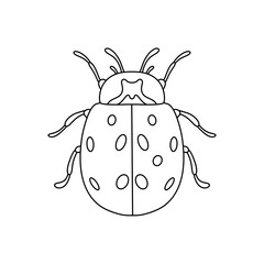 Ladybug linear icon. Thin line illustration isolated on white background