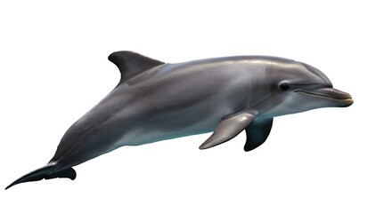 Naklejka premium Isolated Dolphin Swimming Gracefully Against a Clean White Background Studio Shot