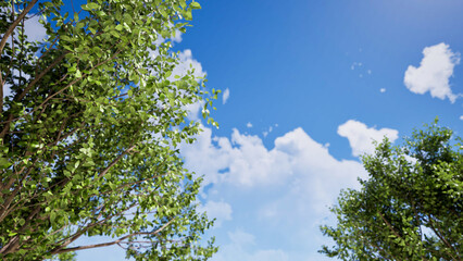 green tree and blue sky